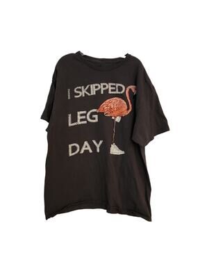 Flamingo I Skipped Leg Day Graphic Tee, XL
